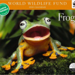 Frog Gifts for the Holidays
