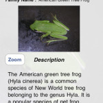 Five Interesting Frog Apps for iPhone and iPad