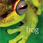 GREEN FRIDAY – Frog Gifts for the Holidays