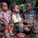 Goliath Frog – The World's Biggest Frog