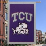 Frogs & Football: The Horned Frogs