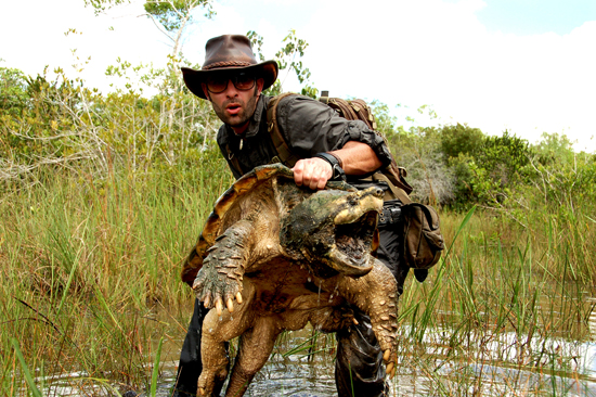 coyote peterson with snapping turtle