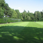 The Benefits of Organic Lawn Fertilizers 