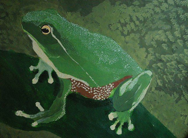 2nd Place 10-12 yrs 2012 Frogs Are Green Kids' Art Contest - Andrew Wang