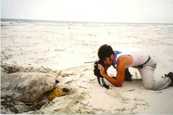 photographing sea turtles