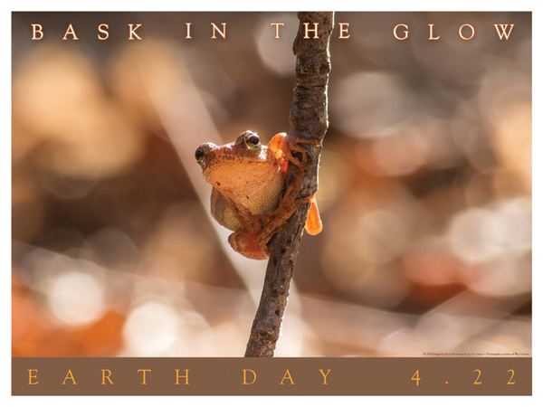 Earth Day poster with frog photographer, Wes Deyton and designed by Susan Newman