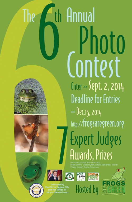 6th annual frogs are green photo contest