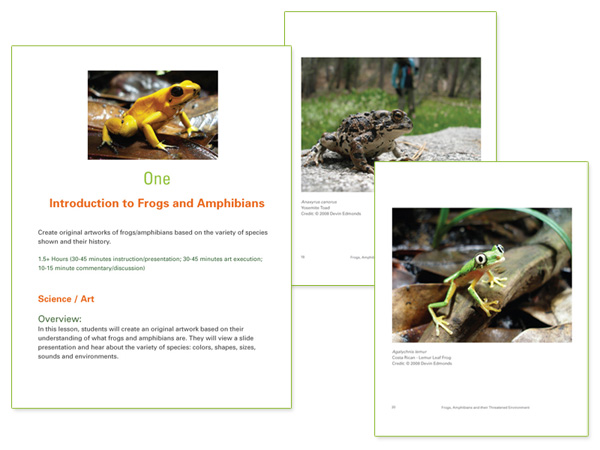Book interior design for Frogs, Amphibians and their Threatened Environment by Susan Newman