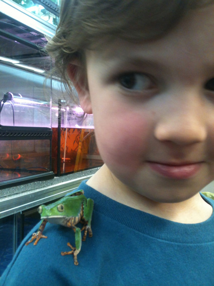 Oliver with the Tiger Monkey Frog at the Manchester museum