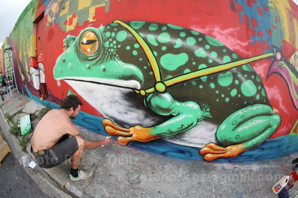 Sao Paulo Frog Mural