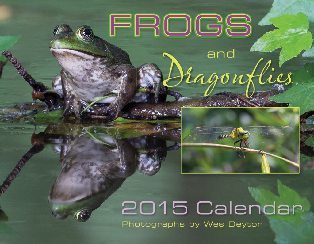 Frogs and Dragonflies 2015 Calendar