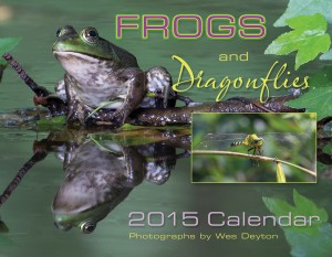 2015 Calendar Frogs and Dragonflies