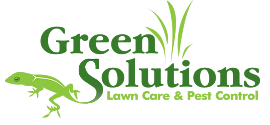Green Solutions Lawn Care & Pest Control sponsors Frogs Are Green
