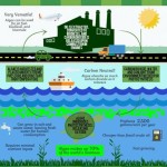 Algae: for a cleaner and greener tomorrow