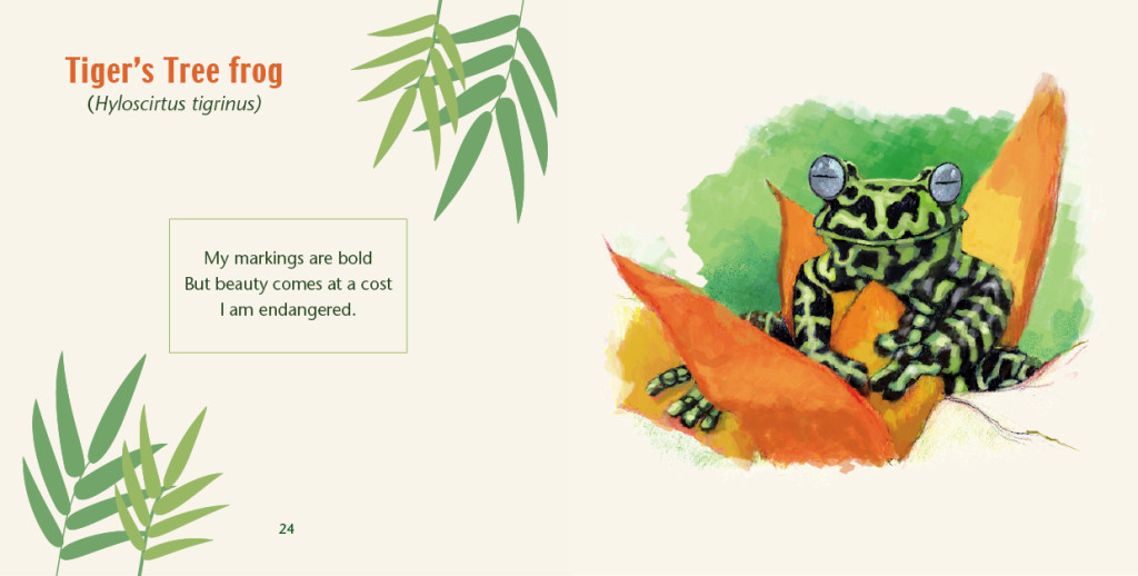 Rainforest Frogs - Haiku by Caley Vickerman, Illustrated by Mark Lerer, Edited by Susan Newman, Foreword by Franco Andreone, Designed by Susan Newman