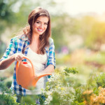 7 Garden Maintenance Tips in Autumn