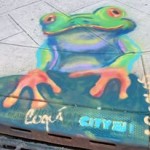 Colorful Catch Basins around Jersey City Star a Red-eyed Tree Frog