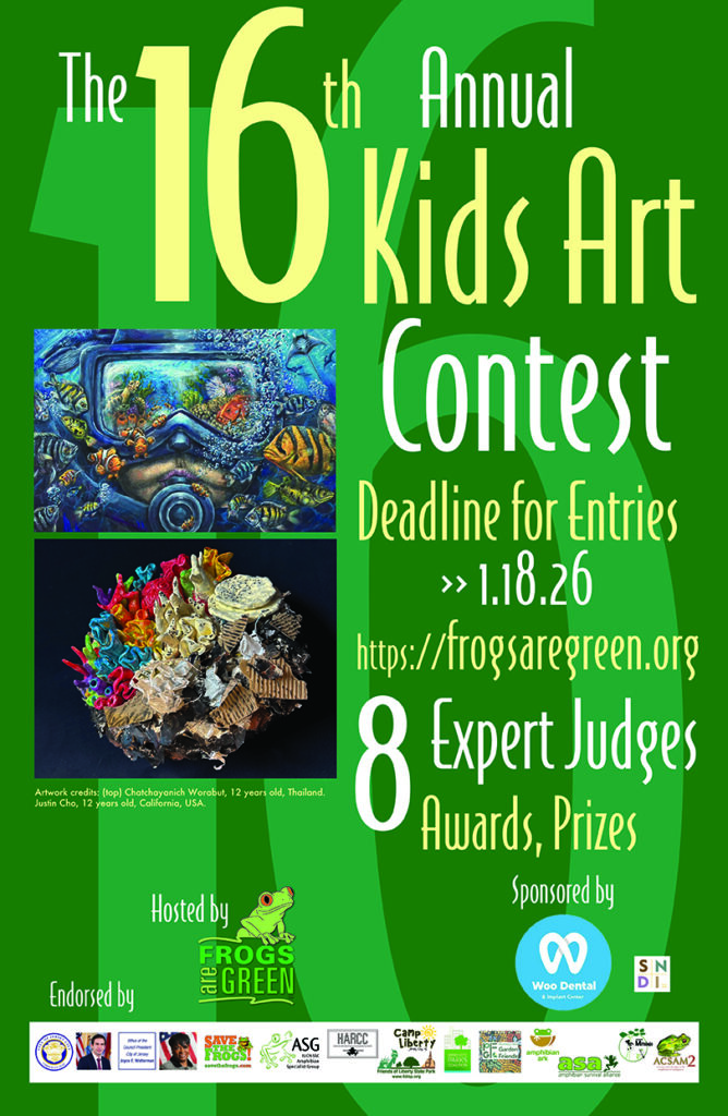 16th annual kids art contest