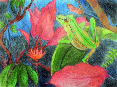 2nd Place Winner, Amir Shadkam, New Jersey, USA, Frogs Are Green Kids Art Contest, Best of Jersey City