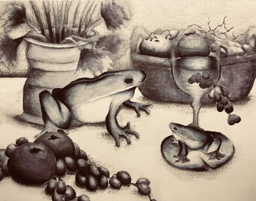 Teresa Tao, 12 years old, CA, Frog still-life, black and white,