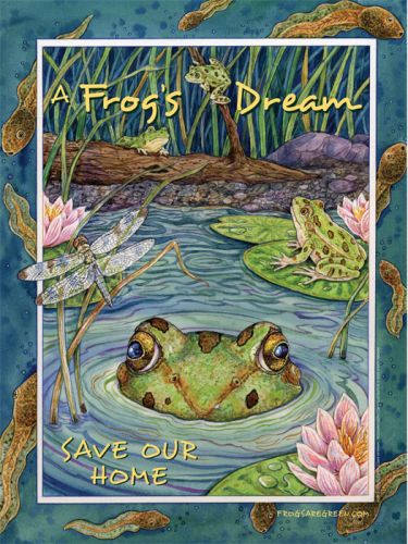 A Frog's Dream - Illustrated by Sherry Neidigh, Designed by Susan Newman