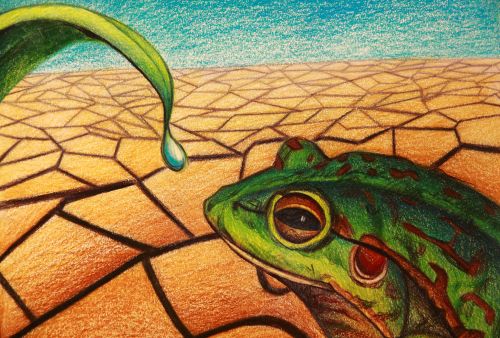 2nd Place Winner, Irene Qiao, USA, Frogs Are Green Kids Art Contest, Best Environmental Art