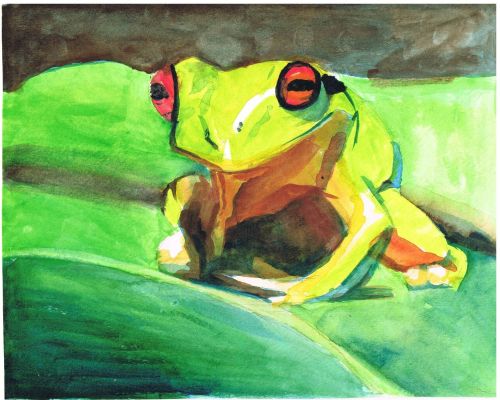 Honorable Mention, Aditri Chauhan, Piscataway, New Jersey, Frogs Are Green Kids Art Contest - Ages 7-9