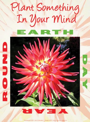 Plant something in Your Mind - Year Round
