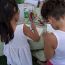 city-of-water-day-hoboken-children-drawing-at-frogs-are-green thumbnail
