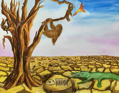 1st Place, Taffy Chen, 11 yrs old, USA, Vicious circle of drought in forest
