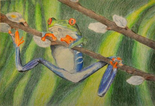 Honorable Mention, Shane Meledathu, New Jersey, Frogs Are Green Kids Art Contest, Best of Jersey City