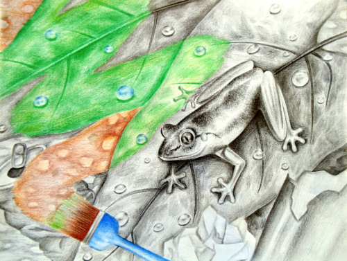 Honorable Mention, Lily Liu, Canada, Frogs Are Green Kids Art Contest, Ages 13-16