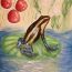 Nethra Chari, age 12, USA, Poison dart frog, winner 2020 thumbnail