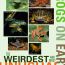 WEIRD-frogs-posterF-800px thumbnail