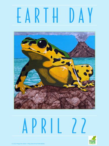 Earth Day Frog near Volcano