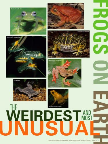 Weirdest Frogs on Earth Poster
