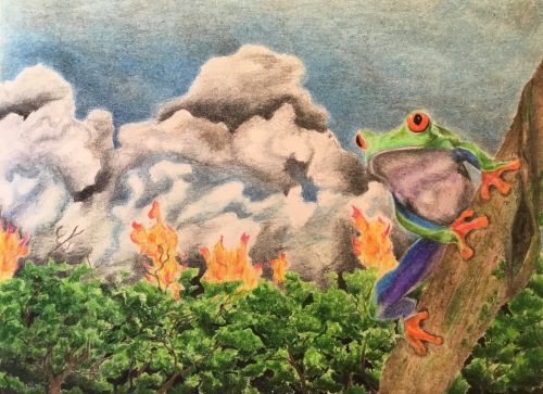 1st-A Frog's View, by Jude Atchley, Age 16, McNair Academic High School, Jersey City, NJ, USA, 2019