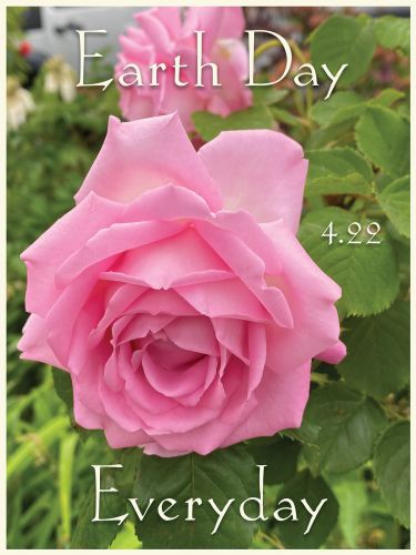 Earth Day 2022 Poster - Photograph and design by Susan Newman Lerer