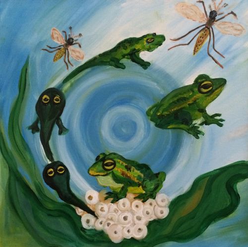 3rd Place Winner, Ada Zeylan, Turkey, Frogs Are Green Kids Art Contest ages 10-12