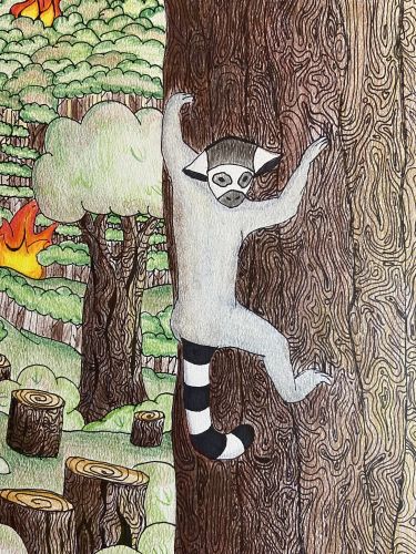 Navia Lam, 13 years old, Jersey City, New Jersey, USA, The Life of a Madagascar Ring-Tailed Lemur