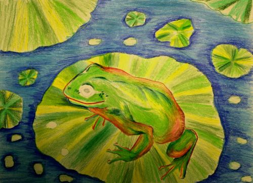 1st Place Winner, Justin Hou, New Mexico, Frogs Are Green Kids Art Contest - Ages 7-9