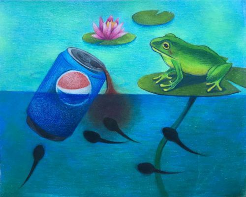 3rd Place Winner, Cynthia Cao, USA, Frogs Are Green Kids Art Contest, Best Environmental Art