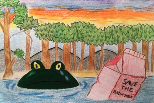 3rd Place, Eileen-Nyaba-16-yrs-old-Save-the-Rainforest-Jersey-City-NJ-USA