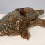 Wu Yutong, 7, China, porcelain sculpture-Sea turtle thumbnail