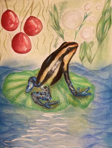 Nethra Chari, 12 years old, USA, poison dart frog, Honorable Mention winner 2020