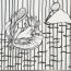 1-Ciara-Groomes-11-yrs-old-Wallace-School-Hoboken-NJ-USA thumbnail