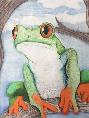 Shrushti Chavan, 12 years old, Jersey City, NJ, USA