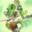 1-Yanbo Feng, age 14, United States, Michigan thumbnail
