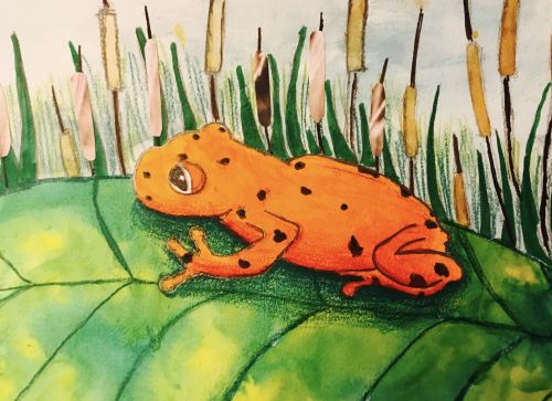 Claire Lee, 10 years old, CA, environmental