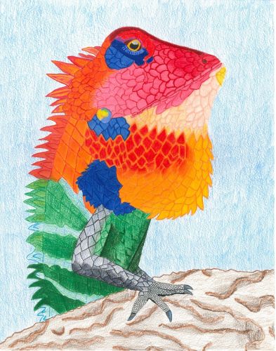 Rachel Paulus, 9 yrs old, Florida, USA